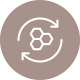 icon-Reverses-signs-of-ageing.png